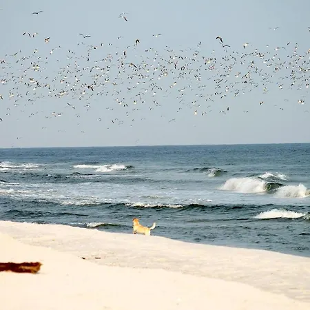 Beach'n'sea 8 Appartement *