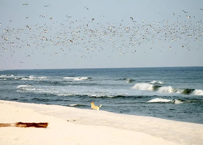 Beach'n'sea 8 Lejlighed *